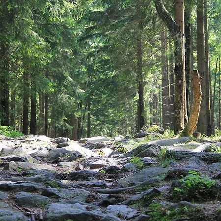 Wohlfuehlort In Der Ferienresidenz Wurmbergblick